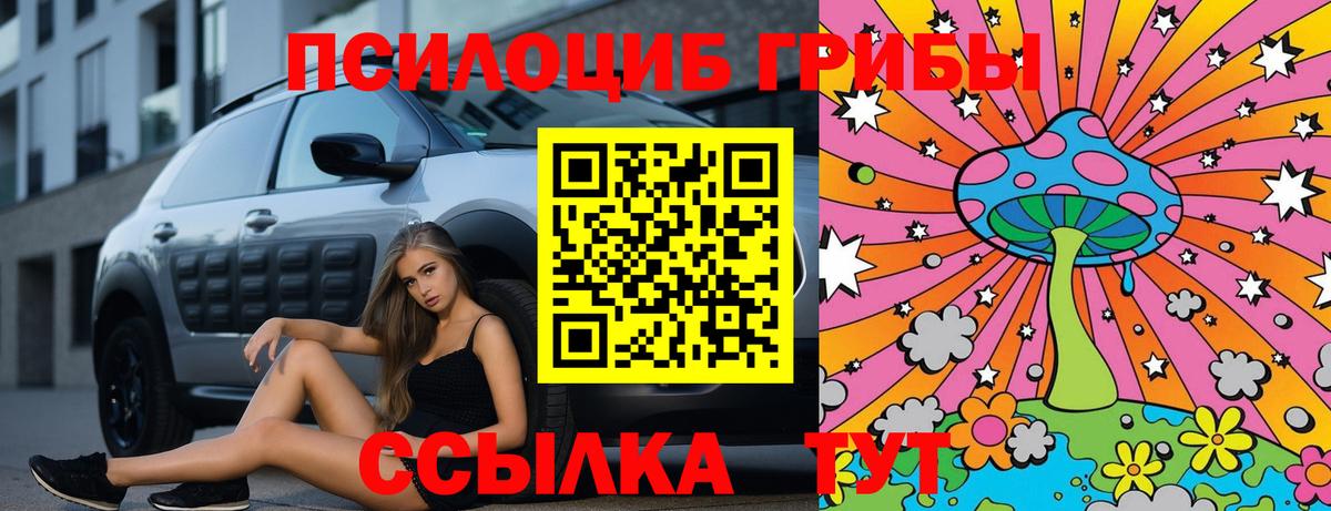 Ярославль  продажа наркотиков  Вход с VPN  Псилоцибиновые грибы GOLDEN TEACHER 