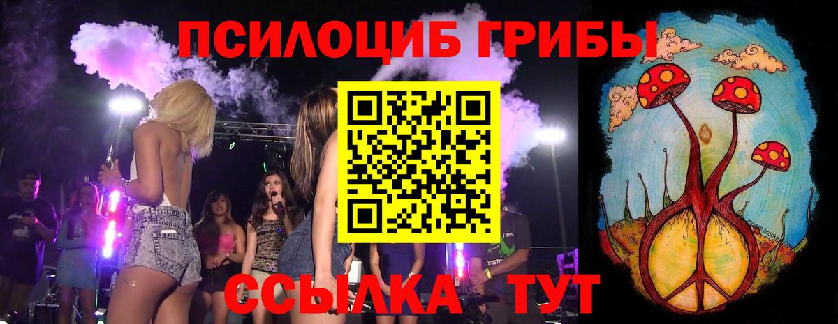 Псилоцибиновые грибы мухоморы Ярославль